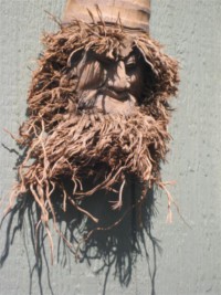 bamboo root carving